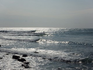PA230010.jpg