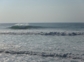PA250049.jpg