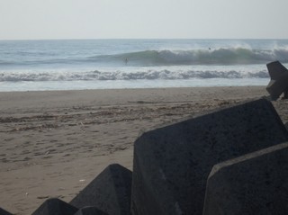 PA250050.jpg