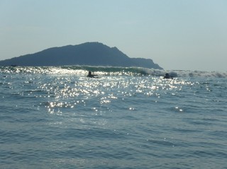 PA250061.jpg