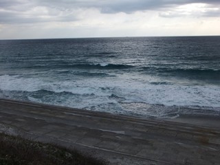 1203213.jpg