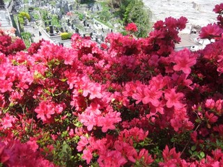 DSCF0810.jpg