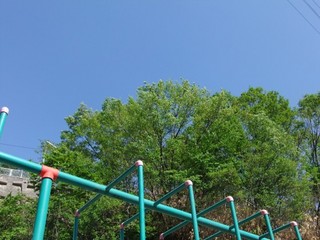 DSCF0978.jpg
