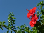 080807.jpg