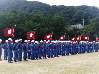 1201061.jpg