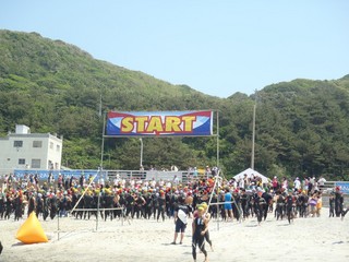 1205191.jpg