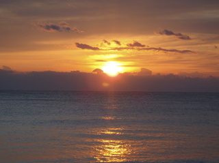 P1010017.jpg