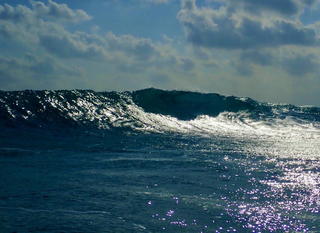 P1070004.JPG