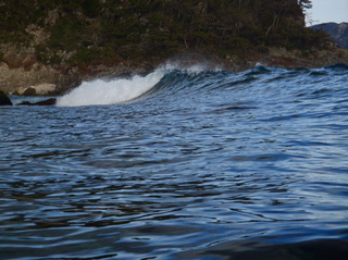 P1110030.jpeg