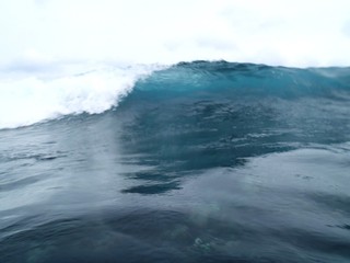 P2030009.JPG