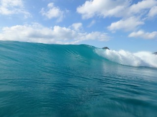 P2040010.jpg