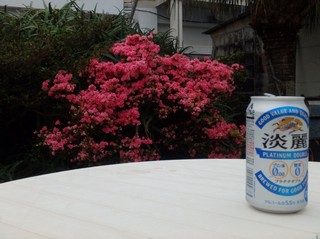 P4100011.jpg
