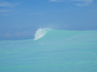 P8150016.jpg