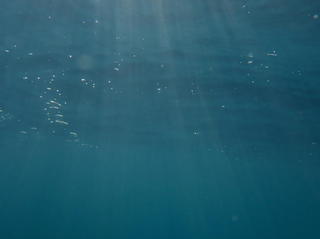 PC020006.JPG
