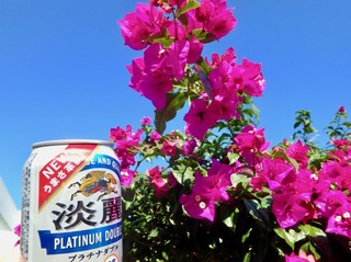 PC100013.jpg