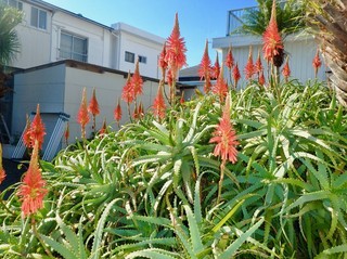 PC180056.jpg