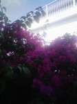 20090720082838.jpg