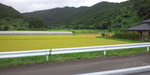 100728_163226.jpg